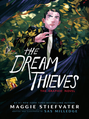 cover image of The Dream Thieves
